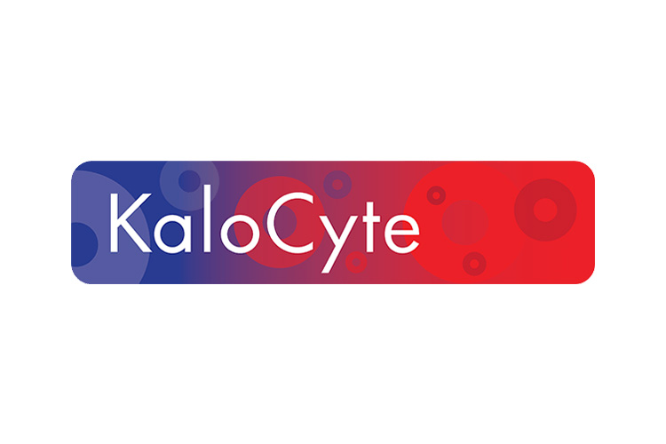 Kalocyte